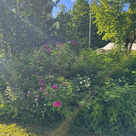 منزل ريفي Traditional Finnish With Garden Hyvinkää